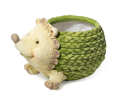 CASHEPOT PORCUPINE
