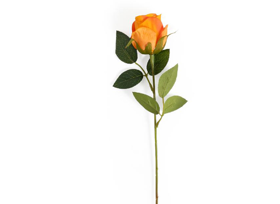 ORANGE ROSE BUD